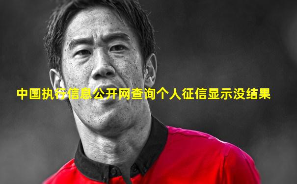 中国执行信息公开网查询个人征信显示没结果