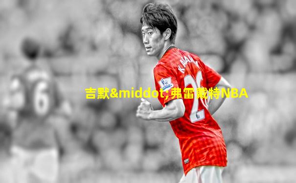 吉默·弗雷戴特NBA